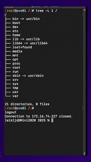 What’s Inside the Linux bin Folder?