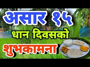 Asar 15 | असार १५ धान दिवसको शुभकामना | Asar 15 Dhan Diwas Suvakamna | Dai Chura khane din,दहि चिउरा
