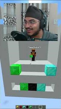 Minecraft Color Match 🤔 #minecraft