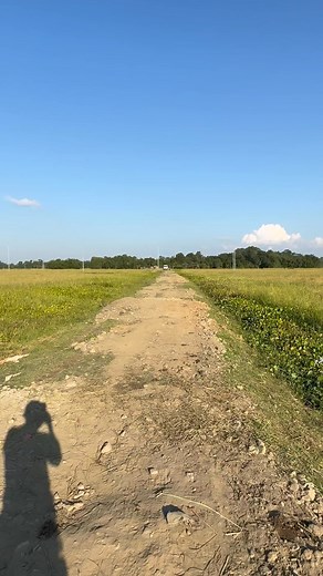 Badrul Islam on Instagram: "Driving dumper truck #videosvirales"