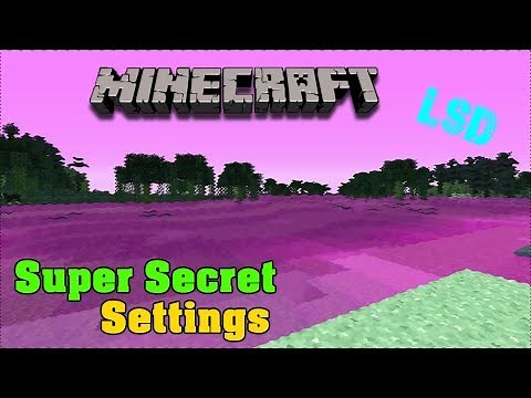 MINECRAFT | All Super Secret Settings Shaders! (LSD, Headfirst, TV, Blurry and more!)