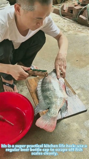 Beer Cap Fish Scale Remover Hack: Easy DIY Trick For Scaling Fish At Home