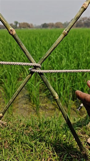 Strong Bamboo Binding Knot | Square Lashing Rope Trick ✅ #ropeknots #knottying #experiment #usa