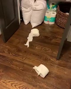 Essa cara já entrega tudo 😆 #AbravanelTriumpho | PG No Ar