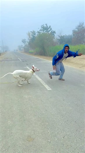 Wait for dog revenge 🐕 🤣