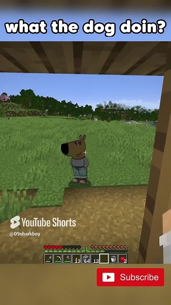 Chill Guy Pranks My Friend in Minecraft Again