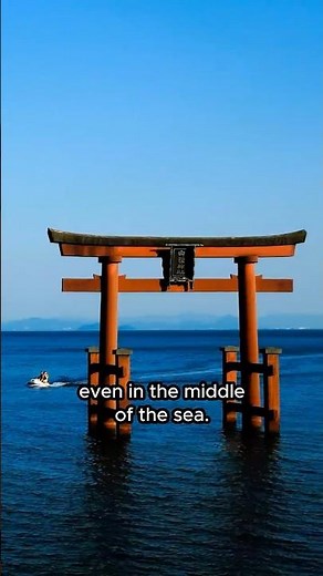 Why Japan Has Torii Everywhere | Hidden Stories Japan