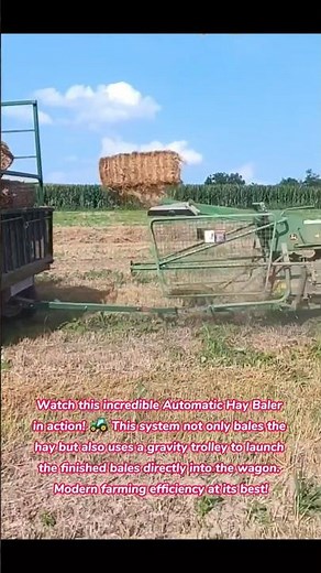 EPIC Hay Collection! Fully Automatic Hay Baler & Stacker System in Action #farming #village #farmer