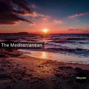 Here is why you should try out the Mediterranean Diet! | OxygenTwo