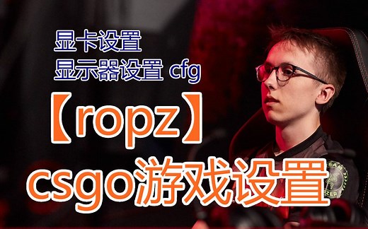 【CSGO职业哥设置11】ropz