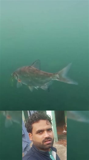 ൫൭൯൦ഗകതകരുഹക #tamilcinema #fishing #song