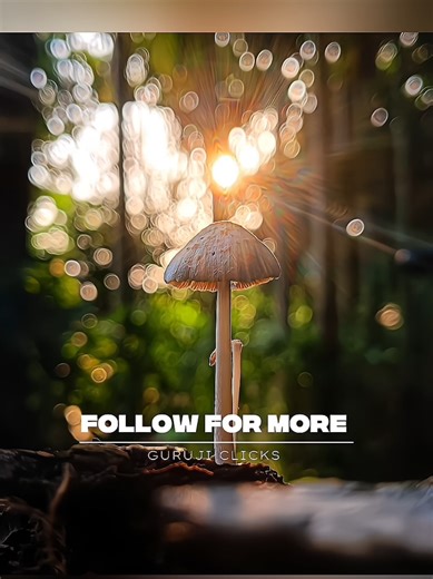 Creative Photography | Tips & Tricks with Phone using Pro Mode 📸 | Mobile Photography Hacks 🔥 #editing #photography #tipsandtrick #viral #explore