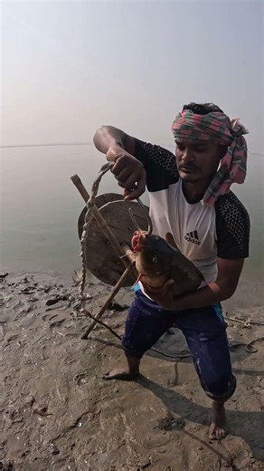 take giant fish bait for catching shark #bait