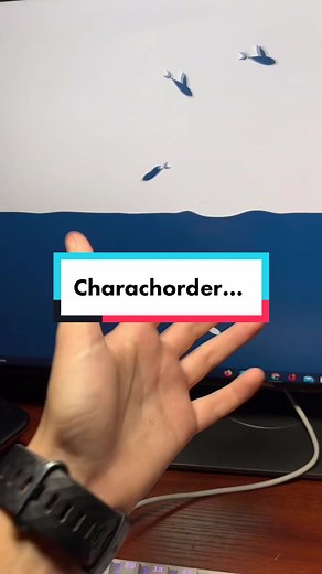 Hedgehog on TikTok