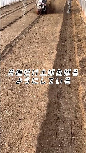 【管理機】畝立て！