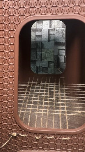 DIY mini cat house from a step stool | Genius Club