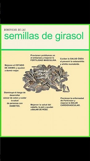 ¡Un Snack con Súper Poderes! 6 Beneficios de las Semillas de Girasol que no Conocías