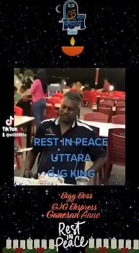 Colorful and Creative Bus Designs Showcase