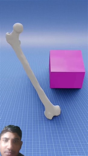 How far could your bones draw, 😔 (3D Animation in hindi)#shorts