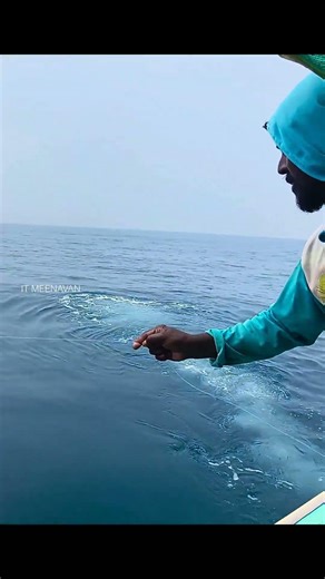 ❌GIANT Kingfish Caught Using LIVE BAIT | Live Bait வைத்து Kingfish பிடித்தோம் #fishing #shorts