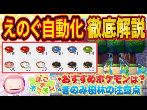 ぽこポケ建築の超重要アイテム"えのぐ"の自動化設備の作り方を徹底解説！"つぶす"おすすめのポケモンは？【ぽこあポケモン/攻略/建築/街づくり/ペイント/さらさらいわ】