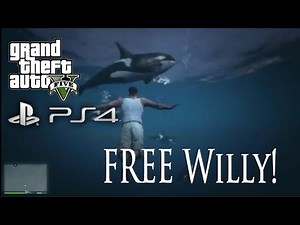GTA 5 PS4 Killer Whale - FREE WILLY! GTA 5 PS4 New Animals