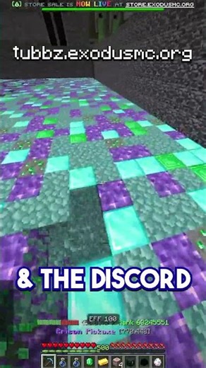 🚨 STEPPING INTO THE NEW PRISON REALM