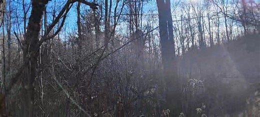 Park #15--Arlington Athletic Complex. (Arlington Avenue misidentified as Trinity Road at the beginning, due to carelessness.) | Duluth Monitor