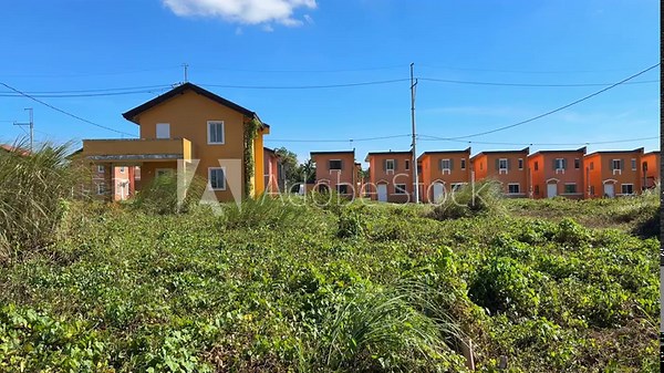 Ground level view showing linear row of abandoned houses surrounded by tall wild grass and overgrown vegetation.