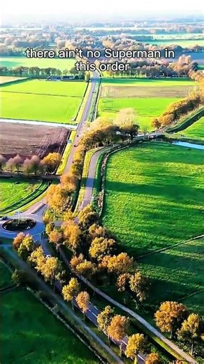 Drone View: Lush Green Crops & Water Lanes