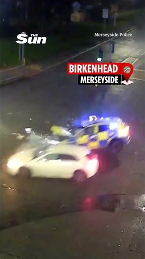 Moment mum, 35, runs red light before smashing into police car sending it up in flames