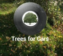 Homeless Man Being Taught Coding Since August Launches His First App, Trees For Cars