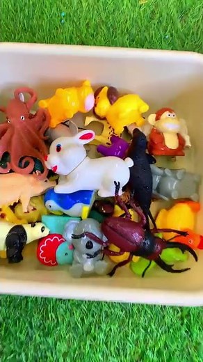 Zoo Animal Toys with Names! #KidsLearning
