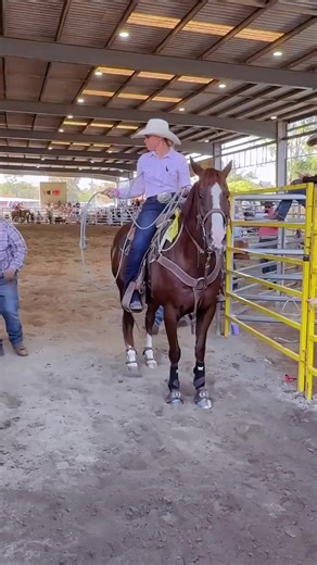 Post the runs that aren’t perfect or absolutely smoking runs - because these are the progress runs , i may not of got a win but I certainly took home a personal win - entered my horse - my horse was calm and happy and relaxed . Roosters second breakaway run at a rodeo , second time through a barrier . Stepping off old faithfuls and seasoning horses is a progress and as much as it can feel disappointing I went home feeling positive and my own win- keep entering consistency is key #breakaway#ropin