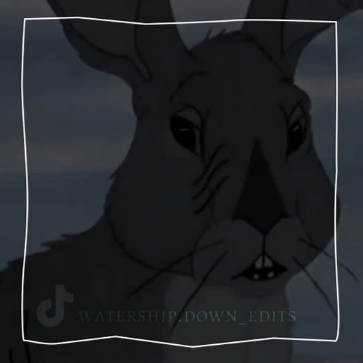 SILVER & PIPKIN 🛐 #watershipdown #edit #capcut #fyp