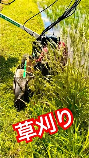 オーレック スパイダーモア SP852 #オーレック #スパイダーモア #OREC#mowing #草刈り#農業 #農家 #kubota #草刈り機 #草刈機 #mowinggrass