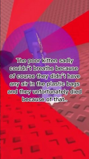 1 boy 2 kittens - EXPLAINED