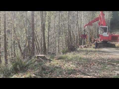 Yesterday, January 20, 2025 #Logging #machines #Yoder #Logs #Timber