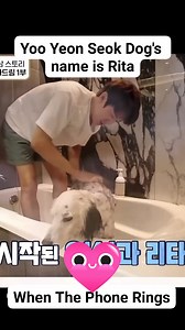 Yoo Yeon Seok shared about how he adopted his dog Rita in 2021. Rita lived in the shelter for two years before the actor met her. Yoo Yeon Seok said that he was always interested in adopting stray dogs, saying, "Rita caught my eye when I saw an adoptable puppy. I felt like it was her. I was immediately attracted to her. I didn't know what her personality was, so I actually went and met her. As soon as I saw her, she hugged me. I went to and prepared for adoption.” Then, he smiled and said, “If a