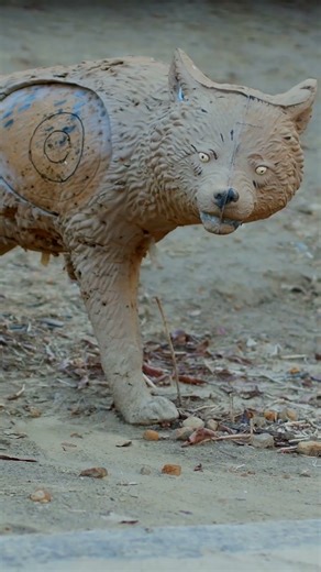 Wolves are incredible communicators. Learn how they talk to each other.