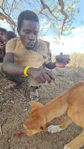 BUSHMEN!!! #africa #animals #bushman#africa #wildanimals #hadzabetribe