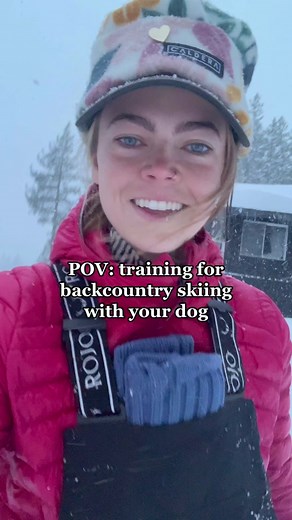 Training Your Dog for Backcountry Skiing | Skiing with Dogs