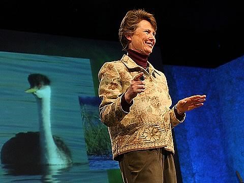 Biomimicry's surprising lessons from nature's engineers