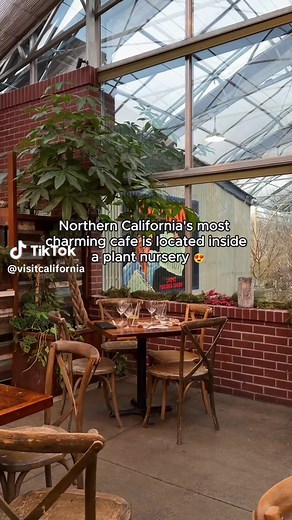 Charming Cafes at High Hand Nursery in Loomis, CA