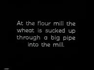 'The Staff of Life' - 8 of 15