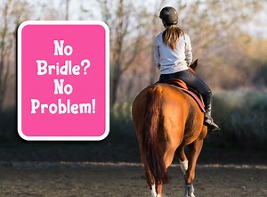 Check these skills off your list before you try riding without a bridle! #ilovemyhorse #horsetraining #horselife #equestrian #equestriangirl | SaddleBox