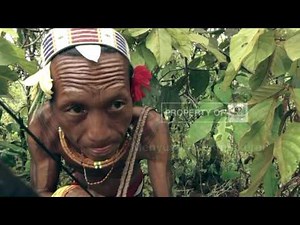 Inside Indonesia - Menyusuri Bumi Sikerei (Mentawai)