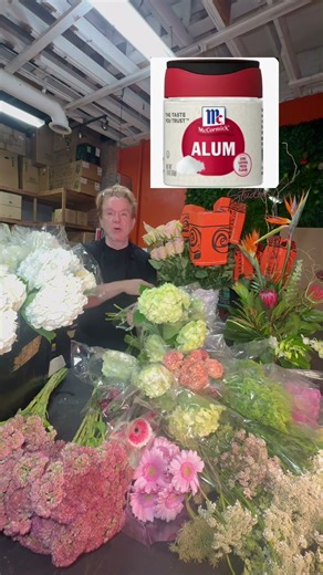 Tip of the Day: The Alum Powder Secret