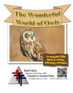 The Wonderful World of Owls