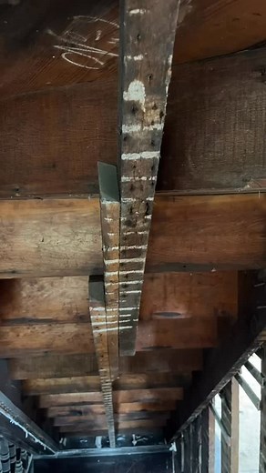 11 reactions | Some of our best recent finds . . . . #restoration #oldhouselove #fyp #oops #rhodeisland # | Heritage Restoration, Inc. | Facebook